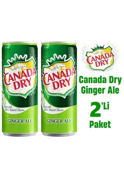Canada Dry Ginger Ale 2 x 330 ML
