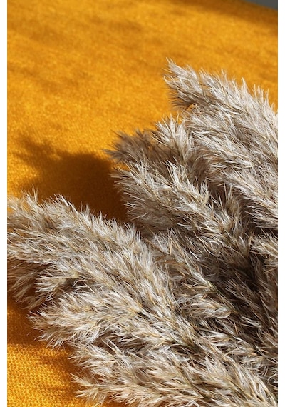 Alyones 10 Adet Kabarık Pampas Otu 100cm Doğal Kuru Pampas Dekor Boho Oda Çiçekleri Dekorasyonu