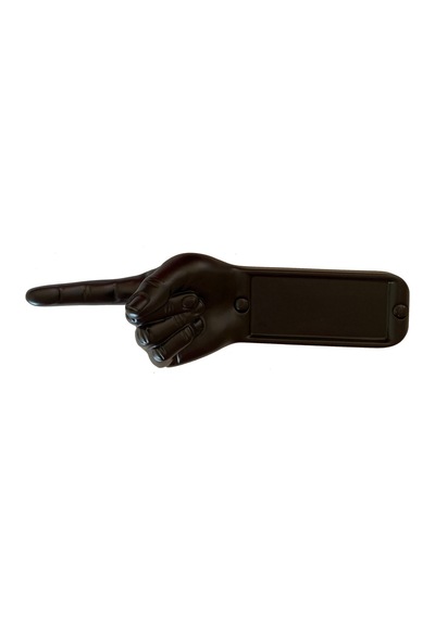 Antartidee Yön Bildirme Eli / Indicating Hand