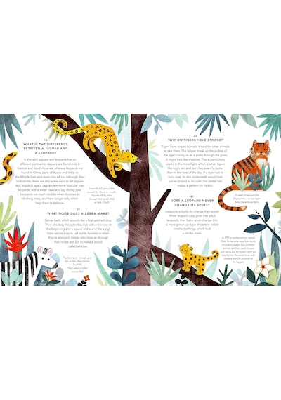 Everything Under The Sun: A Curious Question For Every Day Of The Year