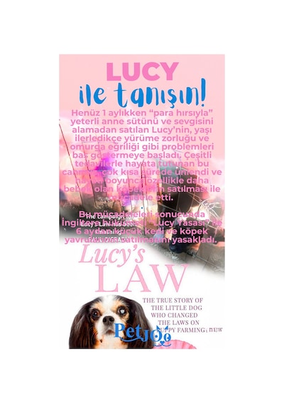 Petjoo 11.Lucy Mavi-Pembe Qr'lı Köpek Künyesi