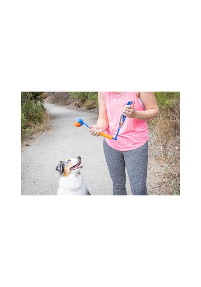 Pb35 Fetch Fold Mini Katlanabilir Top Fırlatıcı Köpek Oyuncağı