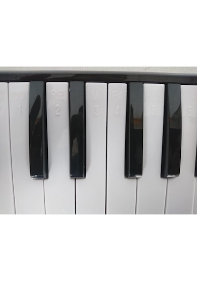 Cremonia Cr32bl-12 32 Tuşlu Melodika - Mavi 12'li Ekonomik Paket - Başlangıç/eğitim Okullar İçin Toplu Alım Avantajı, Çantalı Ve Hortumlu Tam Set Çoklu Renk