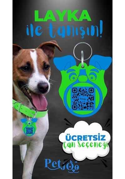 Petjoo 22.Layka Mavi-Yeşil Qr'lı Köpek Künyesi