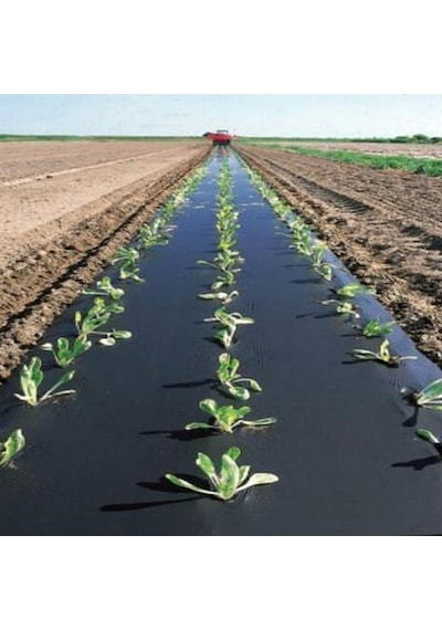 Çilek Mulch Naylonu 50 Cm X 1000 Metre Siyah Taban Örtüsü Pidok Çilek Mulch 30 Micron Uv Li Sebze Naylonu