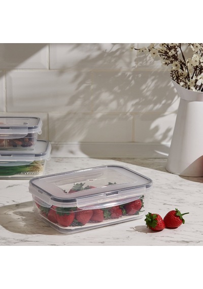 Fresh Box Dikdörtgen Bölmeli Saklama Kabı - 1,4 Lt Çok Renkli