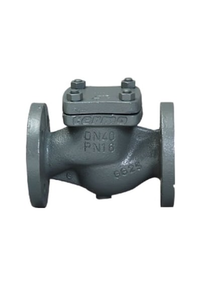 Termo Yaylı Çekvalf, Pn 16 Gg25, Flanşlı
