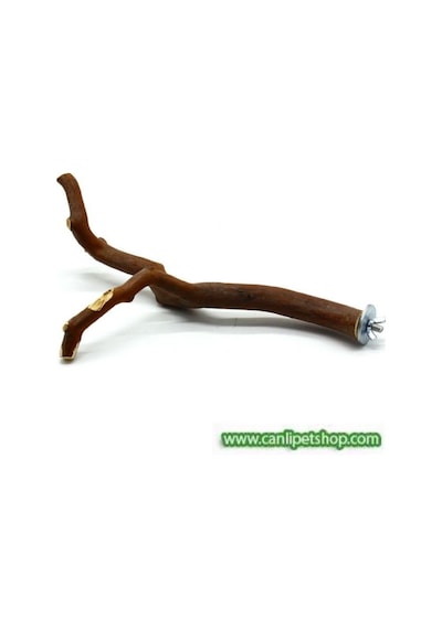 Canlipetshop Akvaryum Dogal Dal Tünek Kızıl Renk Çatal Şekilli 25-30 cm