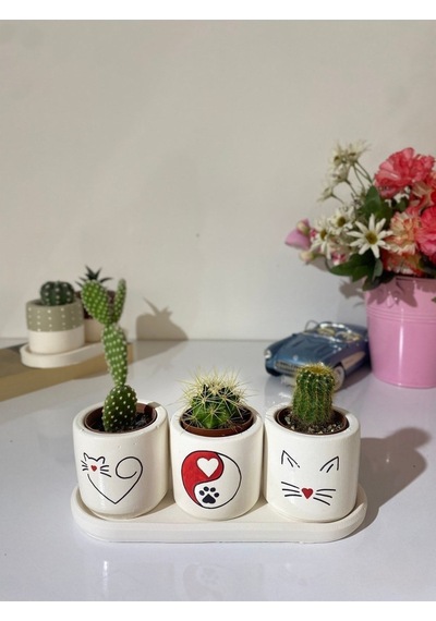 Tabaklı 3lü Kırmızı Kedi Silueti Saksı Seti