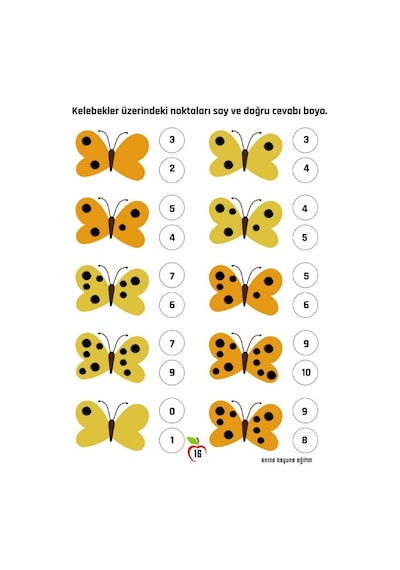 Okul Öncesi Ve 1. Sınıf Matematik Alıştırmalar Kitabı 2 Fasikül