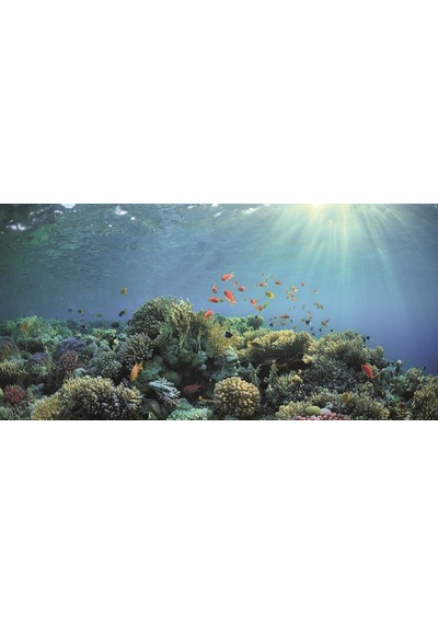 Kanki Pet Kp10552030 Akvaryum Arka Fon Yapıştırma 105 X 52 Cm