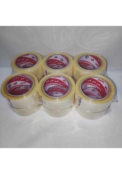 Vege Koli Bandı Aslan Şeffaf 12Adet 45 × 100 Mt.