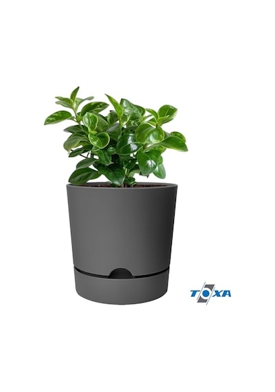 Begonya Saksı Tabaklı Drenajlı Mat Plastik Çiçek Saksısı 4 Adet, 9 Litre, 25cm, Gri