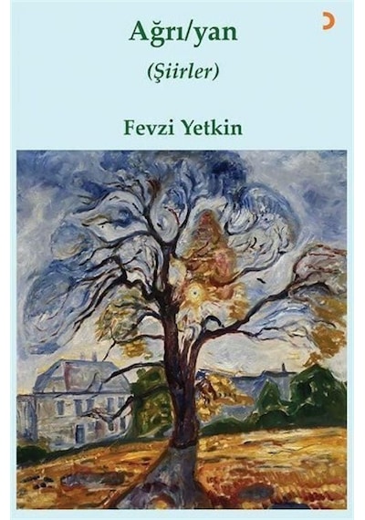 Ağrı / Yan / Fevzi Yetkin