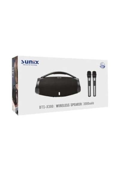 40w 3000 Mah Çift Mikrofonlu Taşınabilir Bluetooth Hoparlör Bts-x300