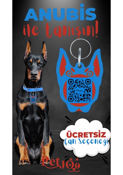 Petjoo 30.Anubis Kırmızı-Mavi Qr'lı Köpek Künyesi