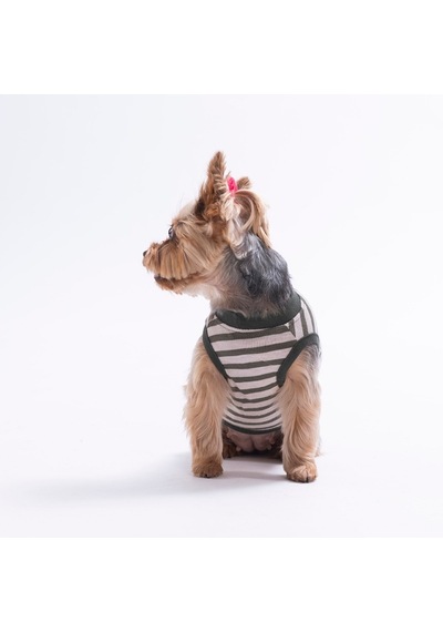 Palm Embroline Tişört Kedi Köpek Tişörtü-kedi Köpek Kıyafeti