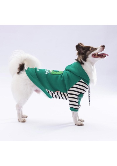 Yeşil Lucky Club Köpek Hoodie Köpek Sweat Köpek Kıyafeti Kedi Kıyafeti