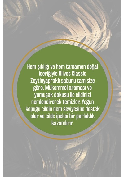 Doğal Zeytin Yaprağı Ve Zeytinyağlı Katı Sabun Zeytin Yapraklı El Diğer