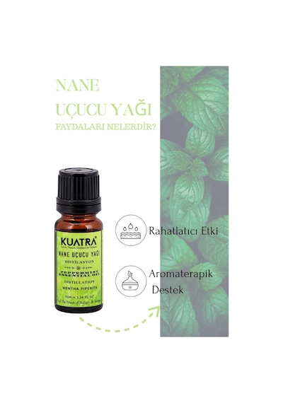 Kuatra Nane Uçucu Yağı 10 ML