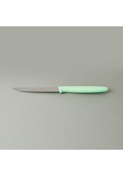 Pirgee Düz Sebze Bıçağı - Mavi - 12 Cm Çok Renkli
