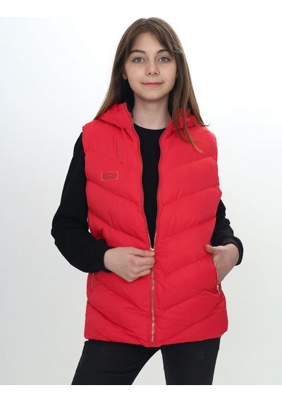 Toontoy Kids Toontoy Kız Çocuk Su İtici Kapüşonlu Fermuarlı Cepli Şişme Yelek Narçiçeği Toontoy Kids Toontoy Kız Çocuk Su İtici Kapüşonlu Fermuarlı Cepli Şişme Yelek Narçiçeği