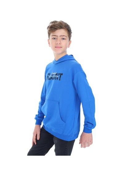 Toontoy Kids Toontoy Erkek Çocuk Flaunt Baskılı Sweatshirt Saks