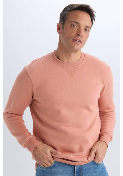 DeFacto Regular Fit Bisiklet Yaka Kalın Basic Düz Sweatshirt T3777AZ25SPPN602