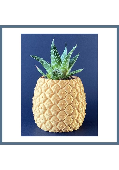 Buradabulabilirsin 3d Baskı Ananas Formlu Saksı Ve Kalemlik Kabartma Dokulu Sukulent Saksısı Masaüstü Bitki Ve Kalem Tutucu Bbz