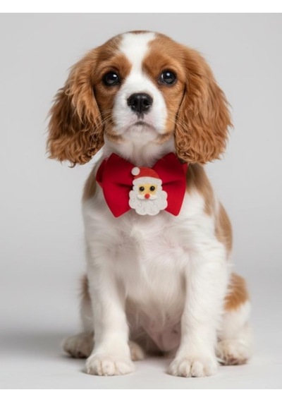 Rudolph Küçük Irk Köpek Papyon Tasması Kırmızı Fiyonk Boyun Aksesuarı Noel Temalı Köpek Süsü