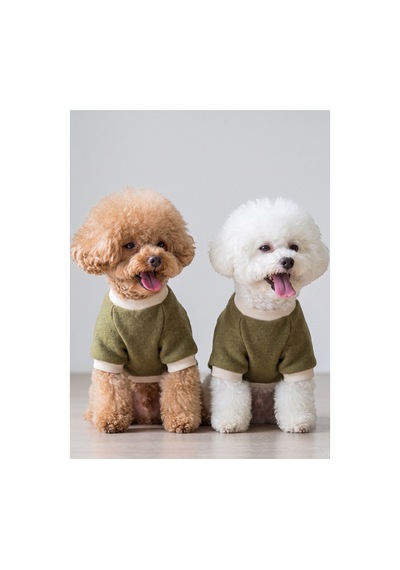 Natura Köpek Polar Sweatshirt Kapüşonsuz Yumuşak Polar Köpek Kıyafeti Nefti Yeşil