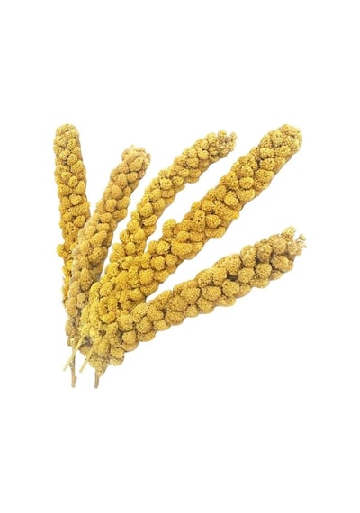Kuşlar İçin Ak Dal Darı 500 G