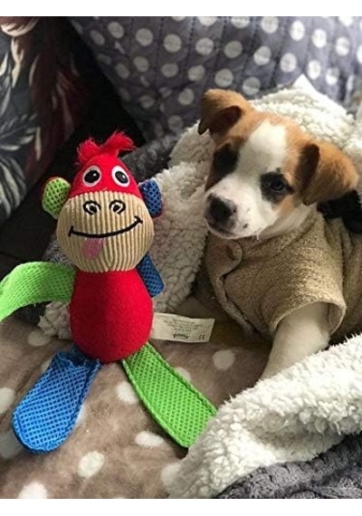 Pawise Vivid Life-fetch İt- Monkey Köpek Oyuncağı
