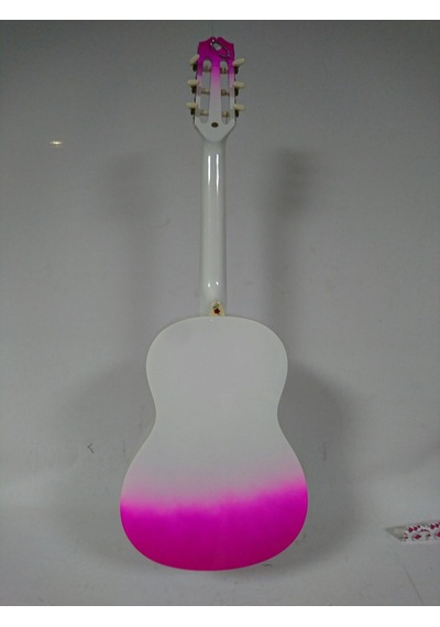 Valencia Grc1Kpub Klasik Gitar Gypsy Rose Set Gıgbag Strap St
