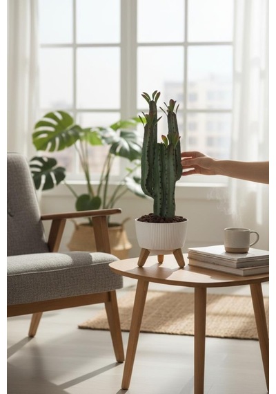 Yapay Kaktüs 4 Kollu Yapraklı Model Zigon Saksıda Yapay Bitki 70cm Yeşil