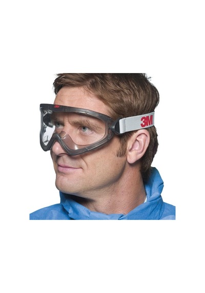 3M 2890 Şeffaf Goggle Gözlük