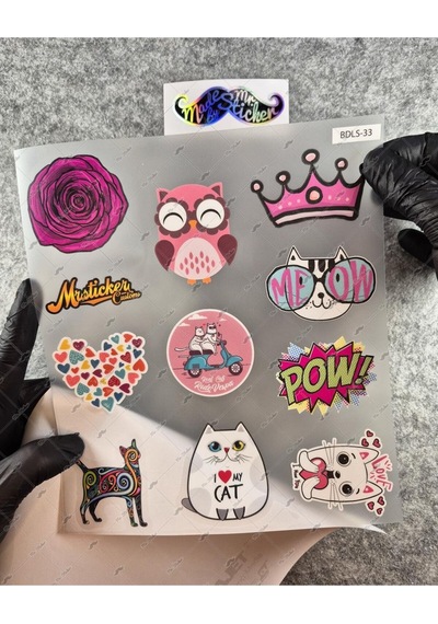 Bdls33 Küçük Boy 10lu Sticker Seti