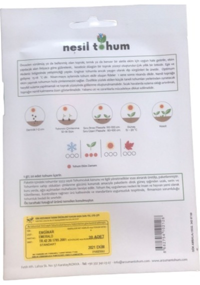 Enginar Atalık Tohumu 3 Paket