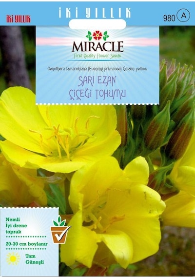 Miracle Ezan Çiçeği Tohumu 480 Tohum