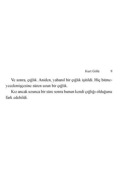 Kurt Gölü - Edebiyat Romanı, Gizemli Olaylar