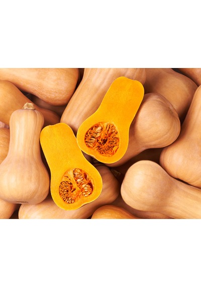Butternut Kabak Tohumu 6 adet