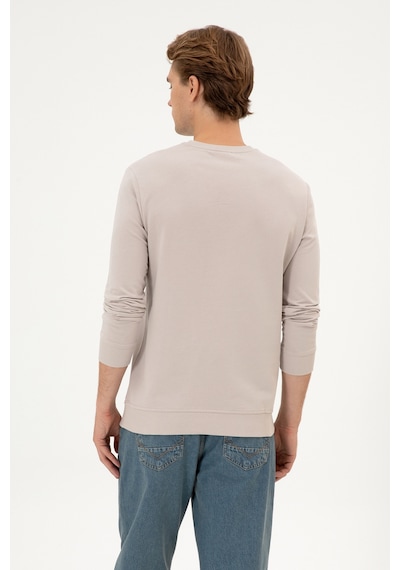 U.S. Polo Assn. Erkek Regular Fit Bisiklet Yaka Taş İnce Basic Sweatshirt 50313743-VR049