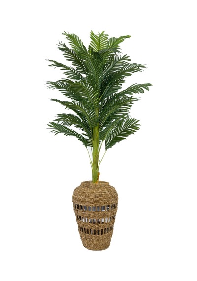Biçiçek Areka Palmi̇yesi̇ 160 Cm İskandi̇nav Tarz Hasir Saksıda