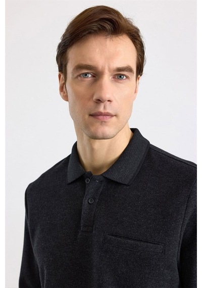Süvari Siyah Regular Düz Polo Yaka Sweatshirt Ssw2013700002-s09