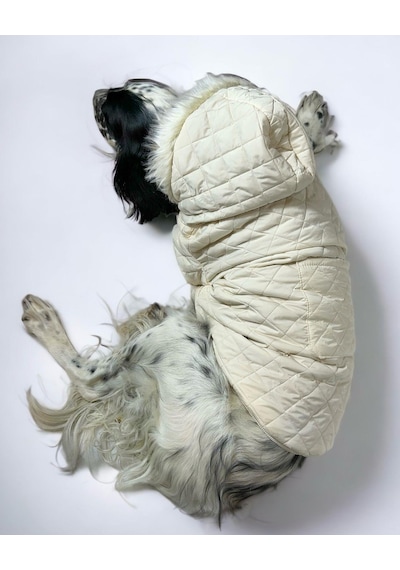Kemique Cream Comfly Köpek Montu Orta Büyük Irklar İçin