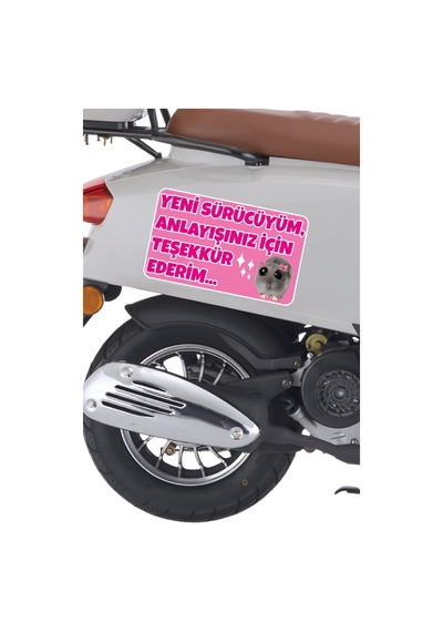 Acemi Sürücü Yeni Sürücü Sticker 22x13 Su Geçirmez Sticker Araba Etiket Sticker