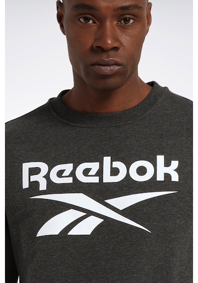 Reebok Identıty Bıg Logo Antrasit Erkek Sweatshirt Gri