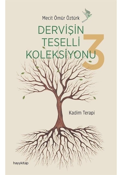 Dervişin Teselli Koleksiyonu 3 - Mecit Ömür Öztürk - Hayykitap