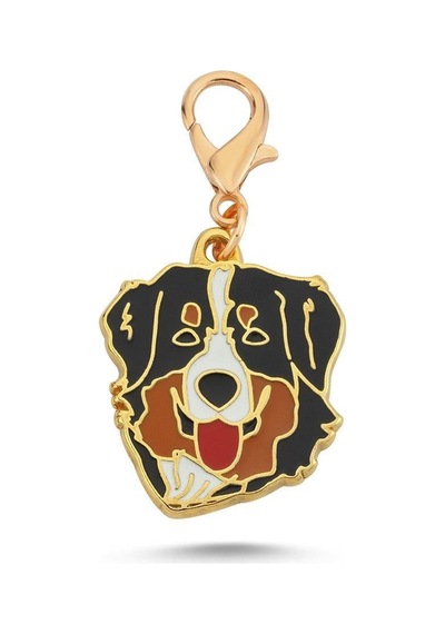 Avustralya Çoban Köpeği Altın Kaplama Mineli Tasma Aksesuarı Renkli
