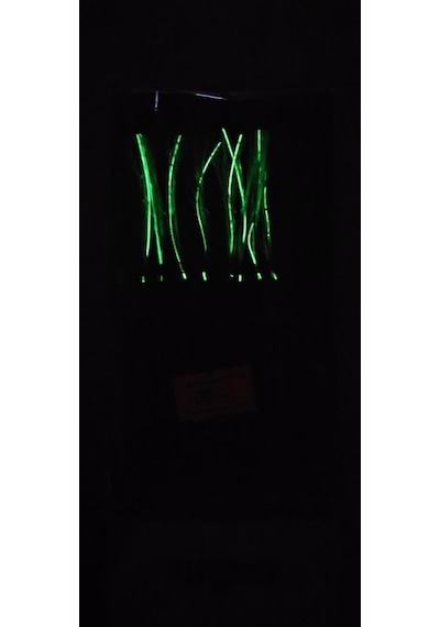 Çapari Alemi Glow+ultraviyole Fıstık Yeşil Çapari İstavrit-kolyoz-tral-mezgit Çapari